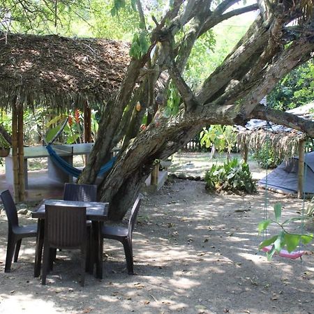Las Cabanas De La Iguana Ayampe Eksteriør bilde